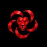 Foto do perfil @opoderdaconsistencia